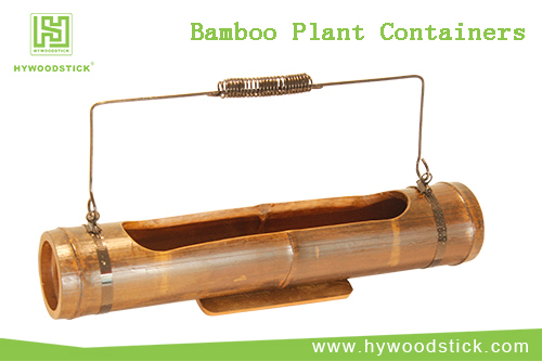 Bamboo plant containers