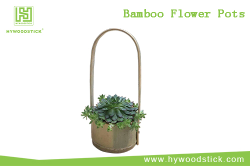 Bamboo flower pots