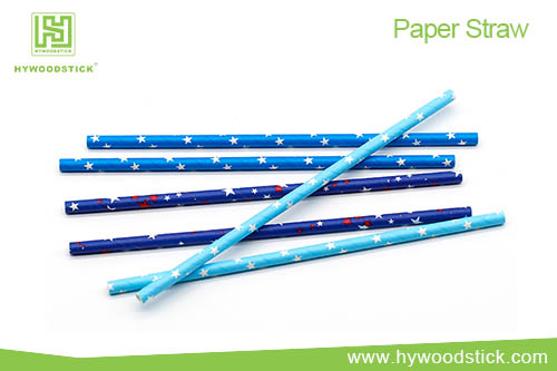 Paper Straws