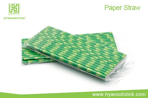 Paper Straws with Bamboo Print